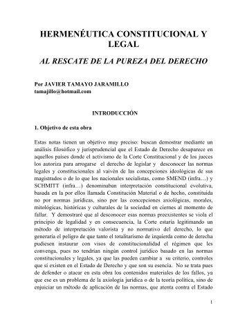 hermenéutica constitucional y legal al rescate de ... - Elección Visible