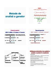 Tehnica Southern-blot