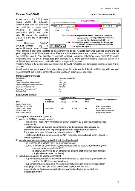 Cap. 3.1 Vectori utilizaţi în clonarea genetică la