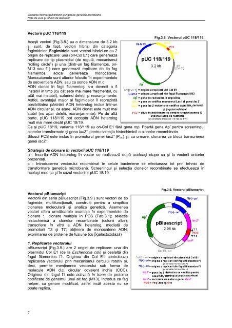 Cap. 3.1 Vectori utilizaţi în clonarea genetică la