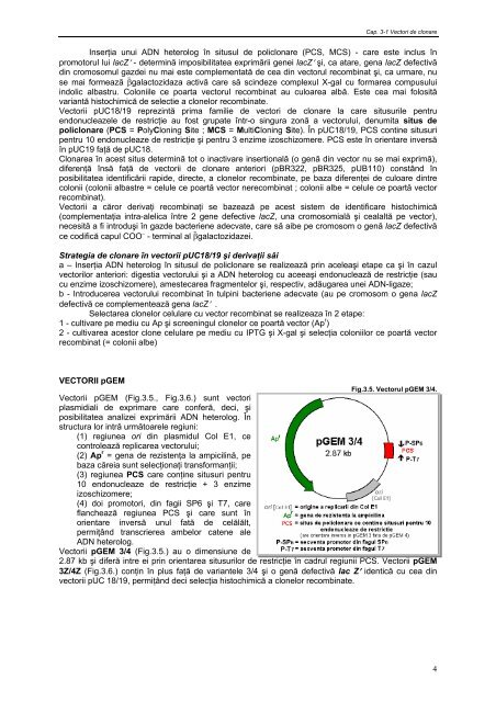 Cap. 3.1 Vectori utilizaţi în clonarea genetică la