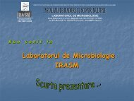 Laboratorul de Microbiologie IRASM