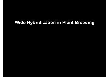 Wide Hybridization in Plant Breeding - mock lecture (Lincoln