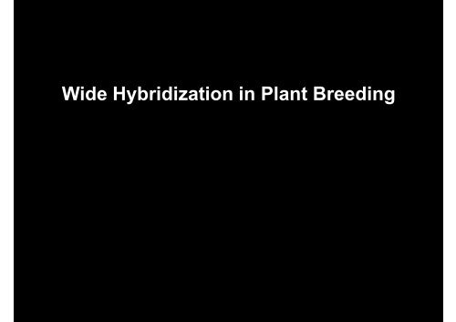 Wide Hybridization in Plant Breeding - mock lecture (Lincoln