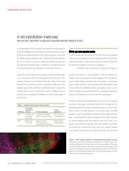 In situ hybridization made easy: FISH or CISH? Two ... - Invitrogen