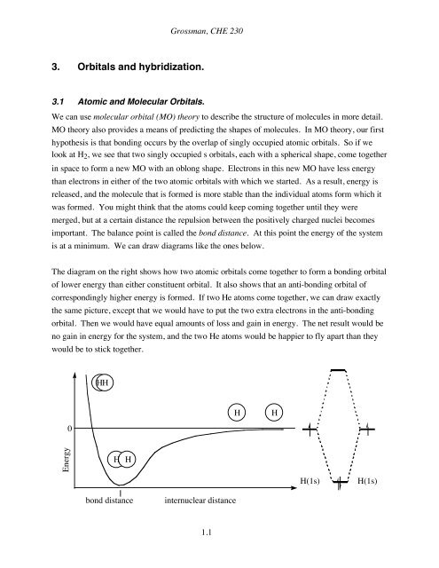 Bio 3 orbitals