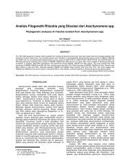 Analisis Filogenetik Rhizobia yang Diisolasi dari Aeschynomene spp.