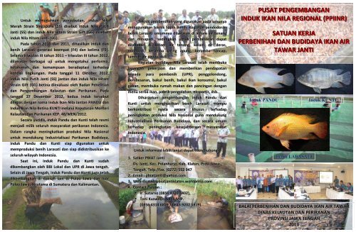 leaflet pandu kunti