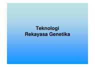 Teknologi Rekayasa Genetika