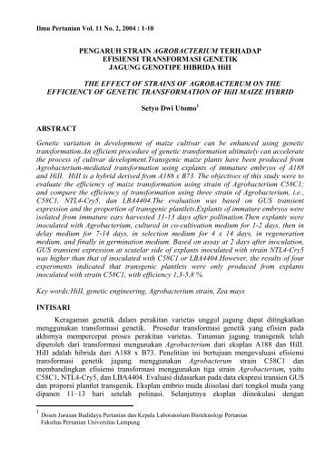 pengaruh strain agrobacterium terhadap efisiensi transformasi