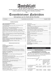 Amtsblatt - Treuenbrietzen