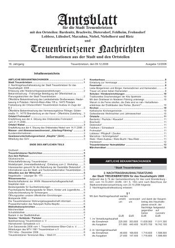 Amtsblatt - Treuenbrietzen