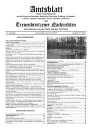 Stadt Treuenbrietzen und Informationen aus der Stadt und den ...