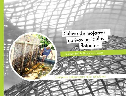 Cultivo de mojarras nativas en jaulas flotantes