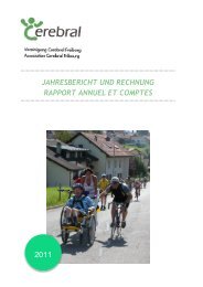 JAHRESBERICHT UND RECHNUNG ... - Vereinigung Cerebral