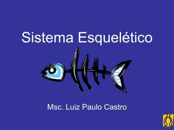 Sistema Esquelético