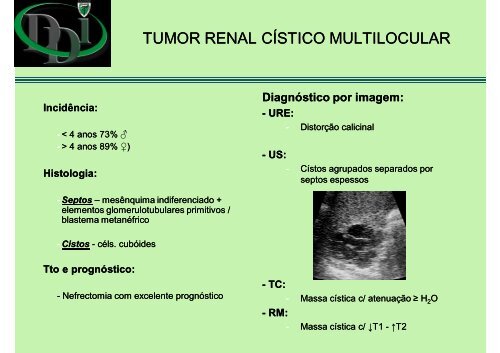 Neoplasia renais das vias excretoras - Dr_ Daniel ... - (DDI) - UNIFESP