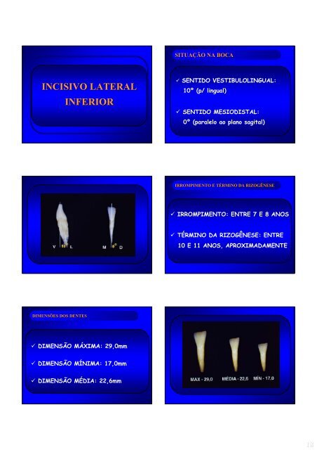 Aspectos de interesse à endodontia - endodontia.com.br