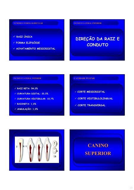 Aspectos de interesse à endodontia - endodontia.com.br