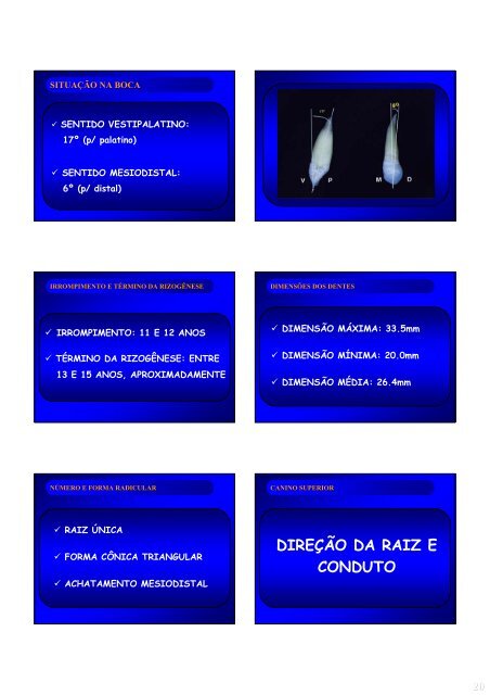 Aspectos de interesse à endodontia - endodontia.com.br