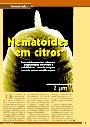 Nematoides parasitas dos citros no Brasil