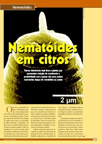 Nematoides parasitas dos citros no Brasil