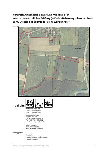 Naturschutzfachliche Bewertung mit spezieller ... - Ulm