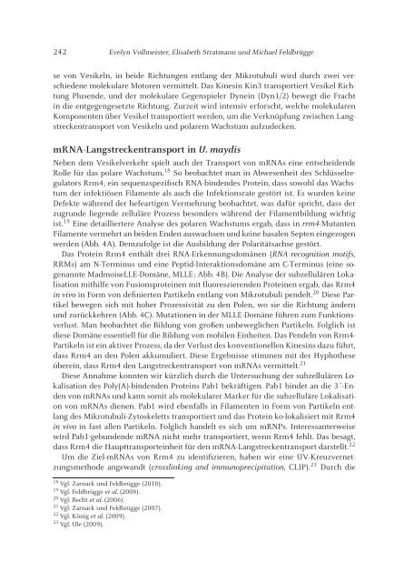 PDF-Datei - Heinrich-Heine-Universität Düsseldorf