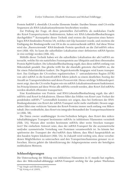 PDF-Datei - Heinrich-Heine-Universität Düsseldorf