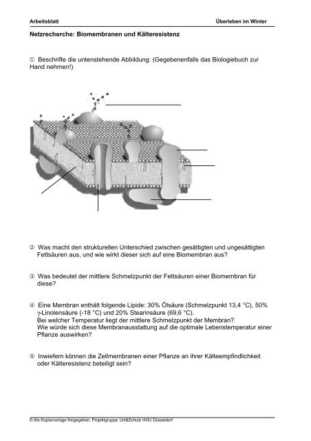 Biomembranen und Kälte