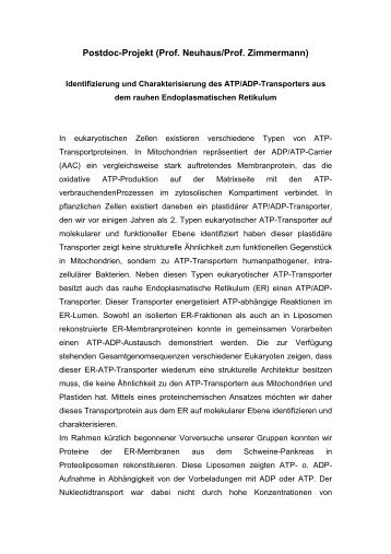 Identifizierung und Charakterisierung des ATP/ADP-Transporters aus