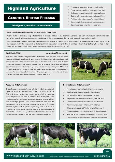 British Friesian - Highland Agriculture