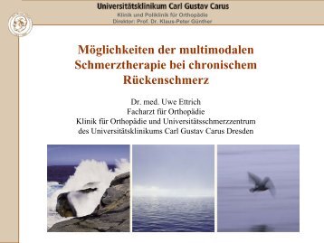 Möglichkeiten der multimodalen Schmerztherapie bei chronischem