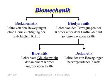 Biomechanik