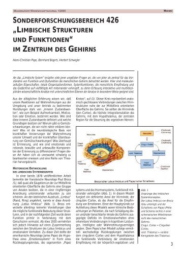 „limbische strukturen und funktionen“ im zentrum des gehirns