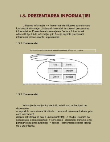 Prezentarea informatiei - tehnicianu