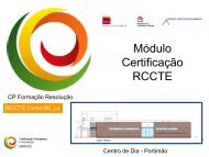 Resolução_CPFormação RCCTE_C 86 e 87 - Adene