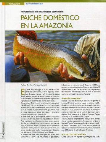 PAICHE DoMÉsTico - Instituto de Investigaciones de la Amazonía ...