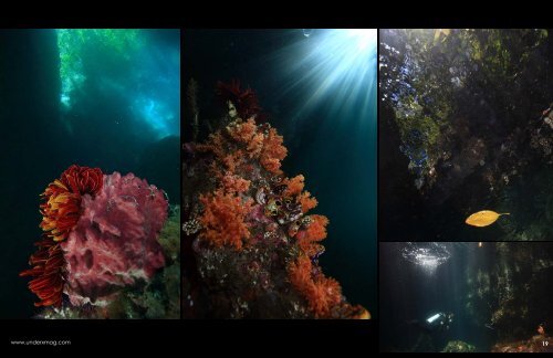 Underxmag - Underwater Expedition Magazine - Mergulho