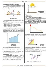 Trabalho, energia e fluidos - Nelson Reyes