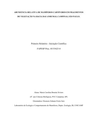 Primeiro Relatório - Iniciação Científica FAPESP Proc. 05 ... - IAC