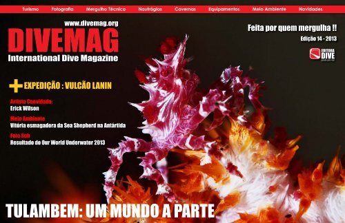 Link Alternativo - DIVEmAg