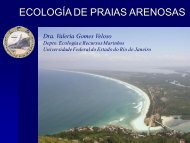 Ecologia de Praias Arenosas - Light