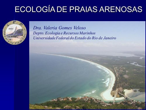 Ecologia de Praias Arenosas - Light