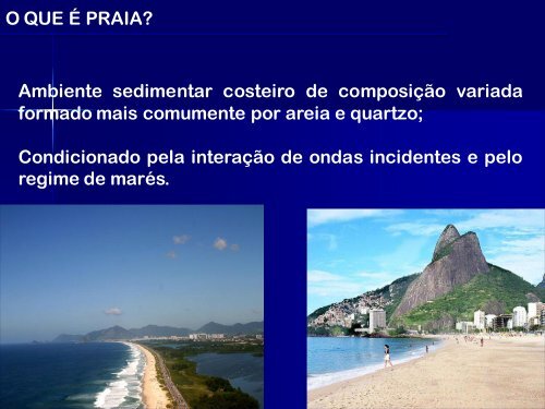 Ecologia de Praias Arenosas - Light