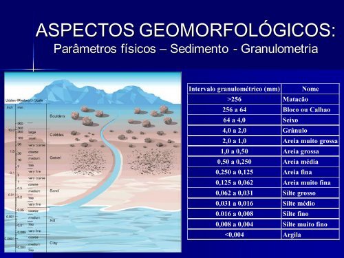 Ecologia de Praias Arenosas - Light