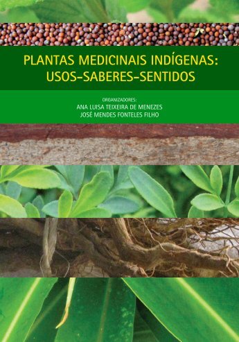 Plantas medicinais indígenas - IPECE — Instituto de Pesquisa e ...