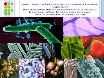 Controle Microbiano(1).pdf - IFPE