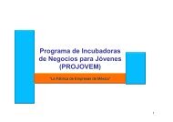 Programa de Incubadoras de Negocios para Jóvenes (PROJOVEM)