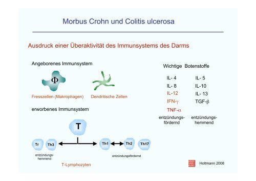 Neue Erkenntnisse über Immunreaktionen der Darmschleimhaut ...